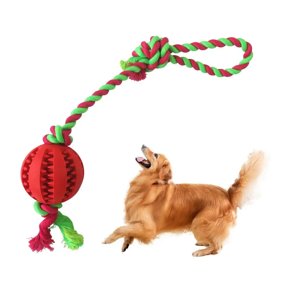 Pelota interactiva de goma para perro, juguete para masticar, Limpieza de dientes, alimentación, suministros para mascotas - imagen 2