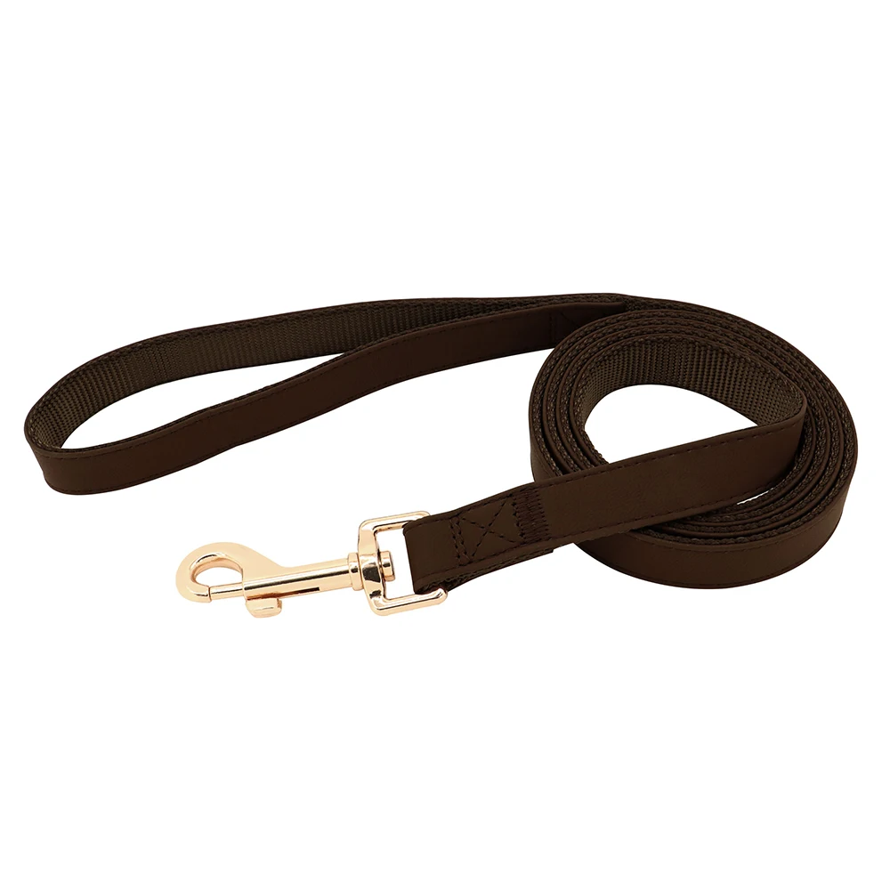 brown leash