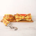 Bow Tie Collar Leash