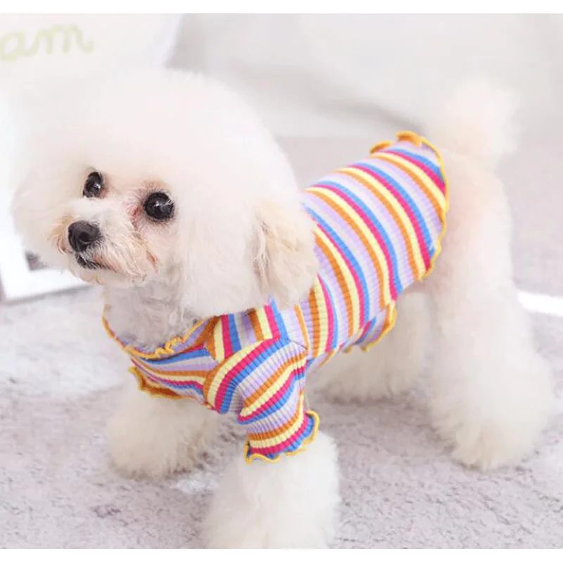 Ropa para perros con tiras de arcoíris, Sudadera con capucha para perros pequeños, Bulldog Francés, perro salchicha, cachorro, gatito, sudadera, camisa XXL - imagen 5