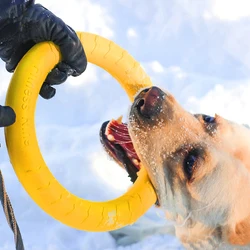 Aro de goma para perros grandes – Juguete resistente para morder