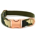 Dog Collar