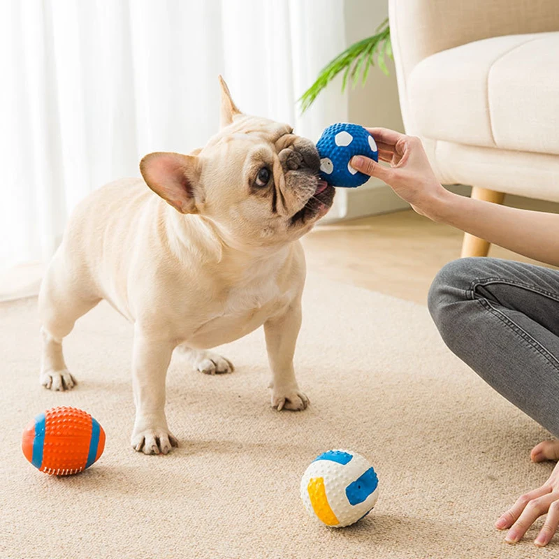 Perro pequeño mordiendo un juguete de goma con textura