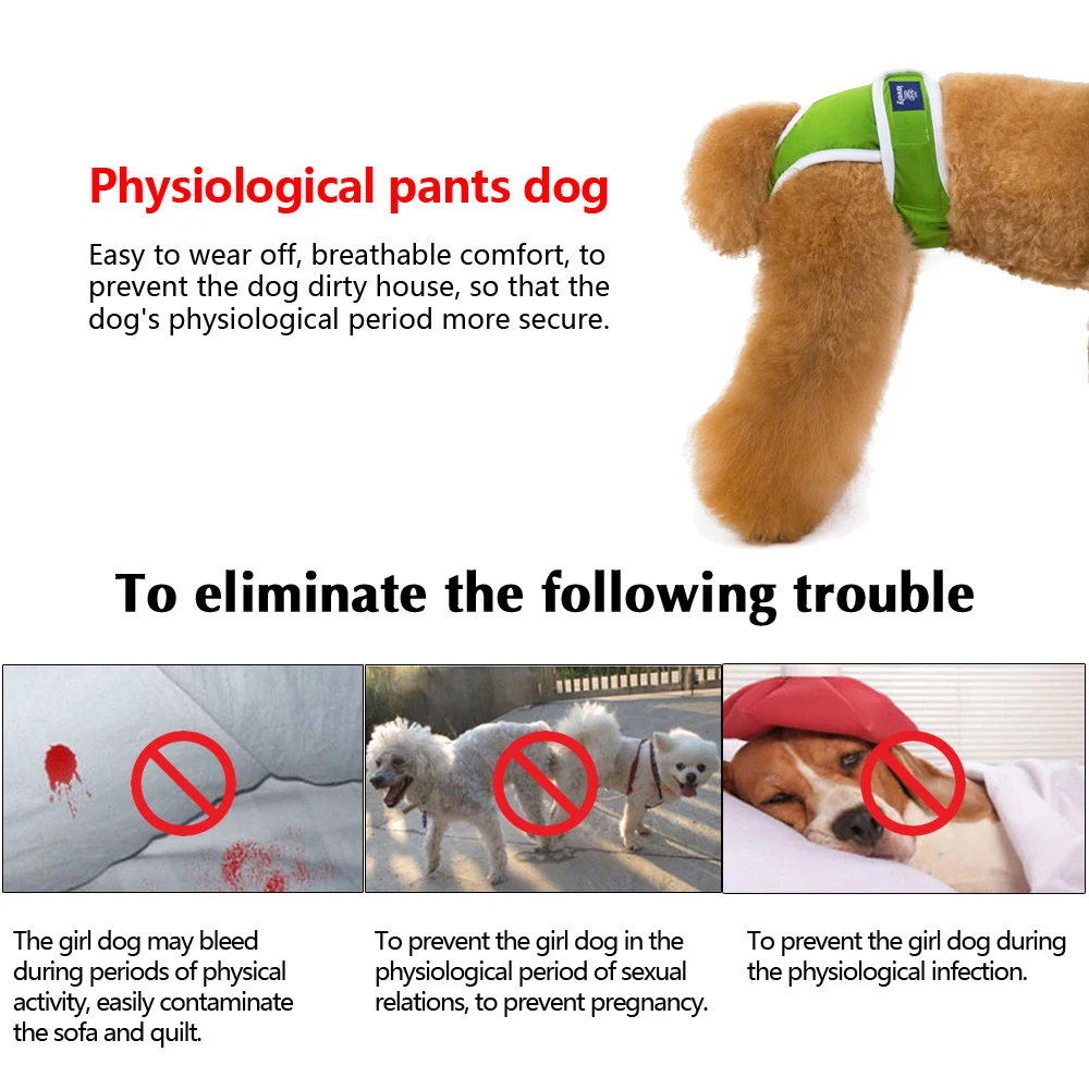 Pañales Lavables Perros Hembra - Pantalones Fisiológicos Reutilizables - imagen 5