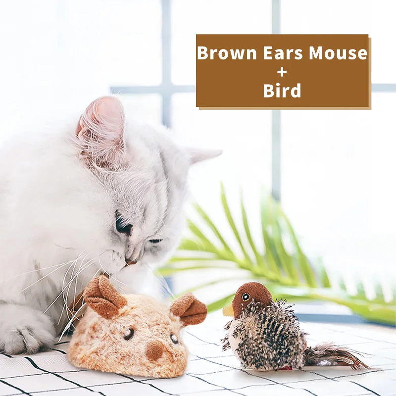 Brown  Mouse Bird