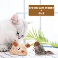 Brown  Mouse Bird