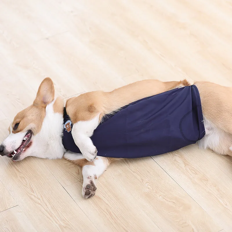 HOOPET Breathable And Comfortable Bellyband For Dogs Summer Clothes For Going Out Protective Belly Clothes For Pet Dog Suppliers - imagen 3