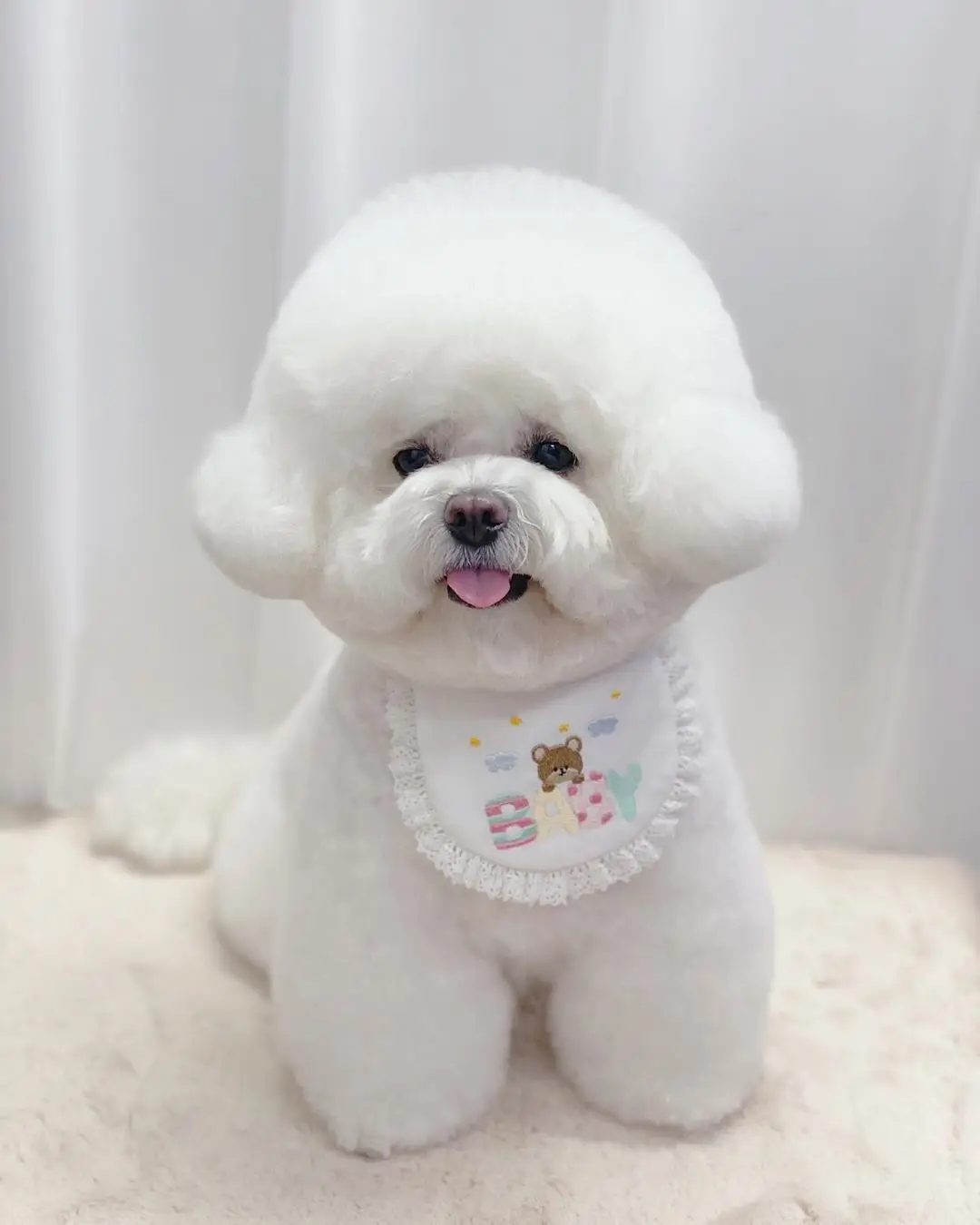 Babero bonito con bordado de oso para bebé, babero para perro, toalla para Saliva, Bichon, babero Hiromi de peluche, bufanda triangular para gato, bufanda para gato, toalla para Saliva para gato - imagen 3