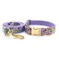 Dog Collar Leash Set