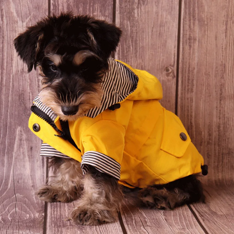 Abrigo impermeable para perros - uso durante un paseo al aire libre
