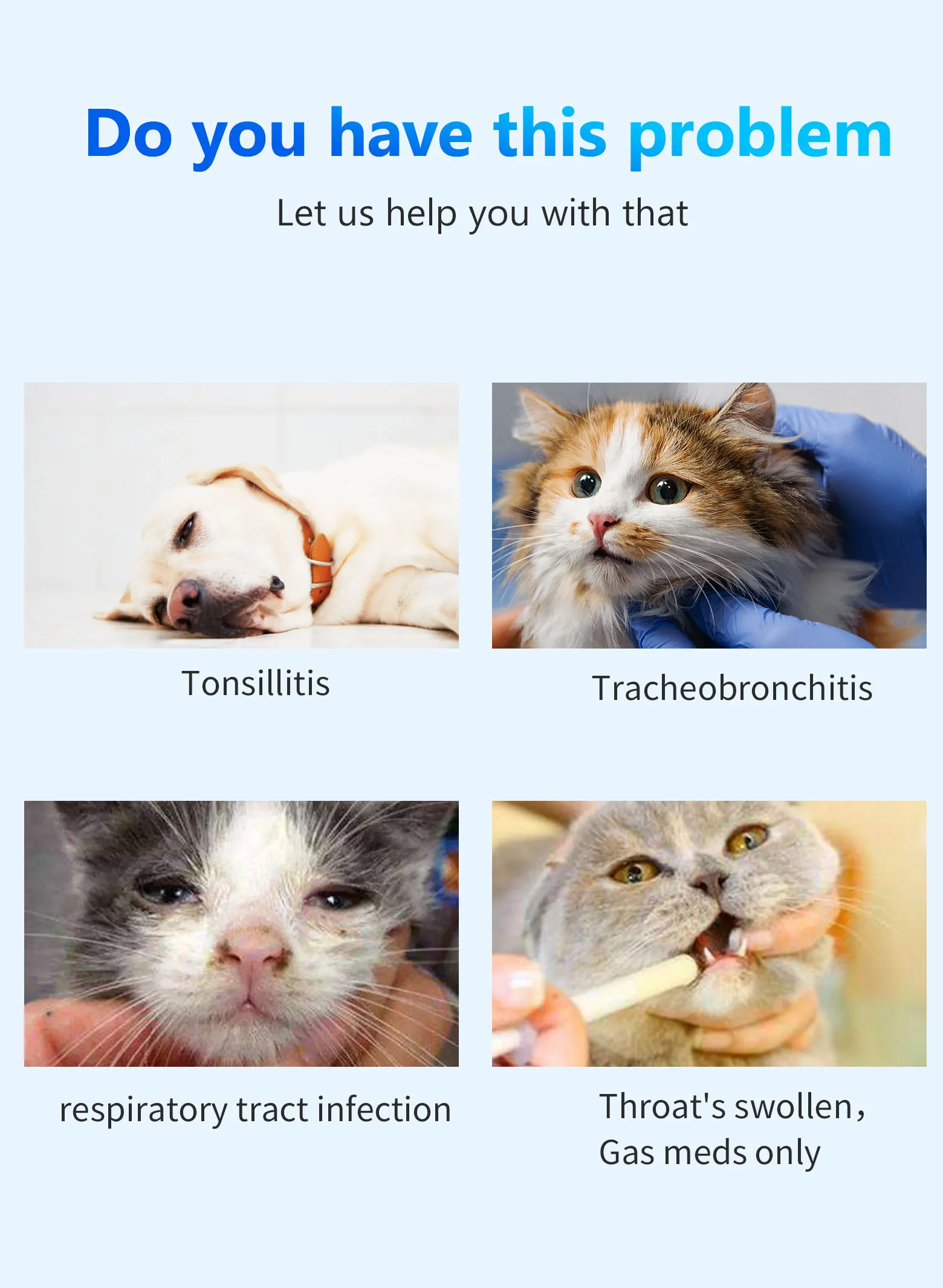 Comparación de tallas de máscaras - guía
