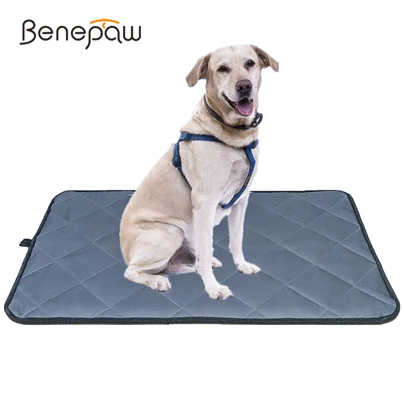 benepaw alfombrilla antideslizante impermeable perros pequeños medianos grandes cama lavable todas estaciones