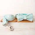 Bow Tie Collar Leash