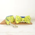 Bow Tie Collar Leash