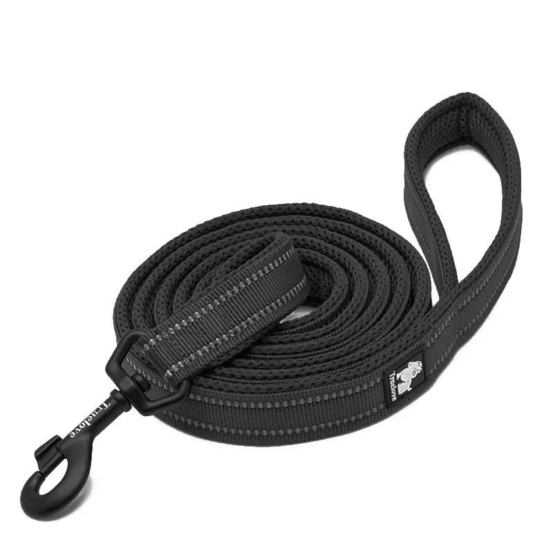 Black Dog Leash