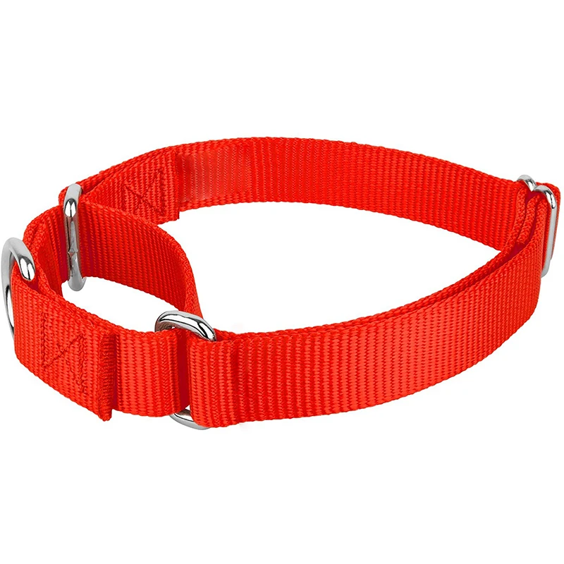 Benepaw-Collar de nailon para perro Martingale resistente, ajustable, suave, cómodo, para cachorros, perros pequeños y grandes, Control de entrenamiento - imagen 3
