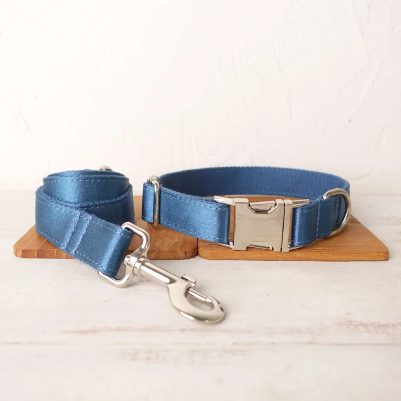 Dog Collar Leash Set