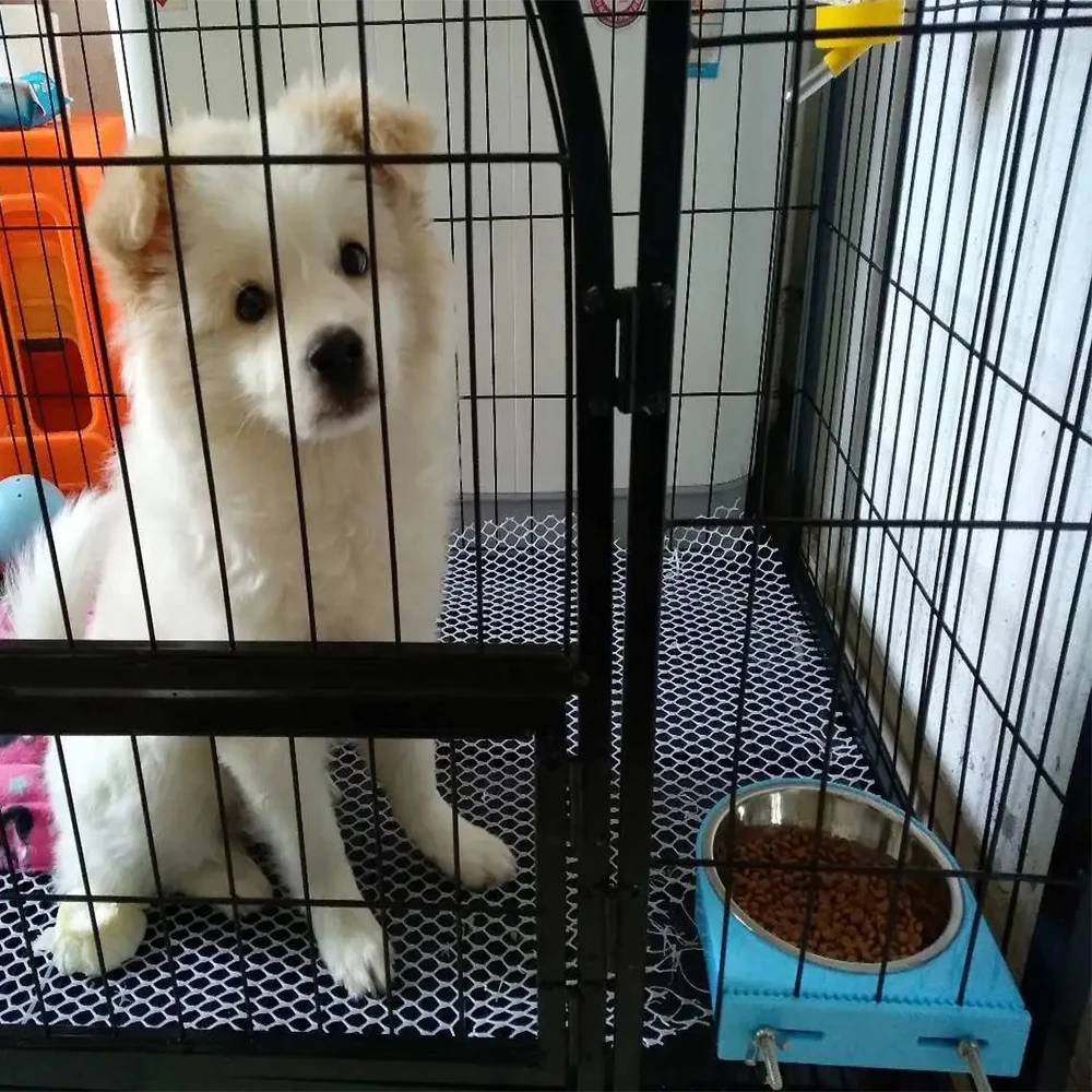 Jaula para mascotas de altura ajustable, cuencos de comida colgantes de acero inoxidable, alimentador fijo, cuenco para gatos, suministros de alimentación para cachorros, accesorios para mascotas - imagen 3