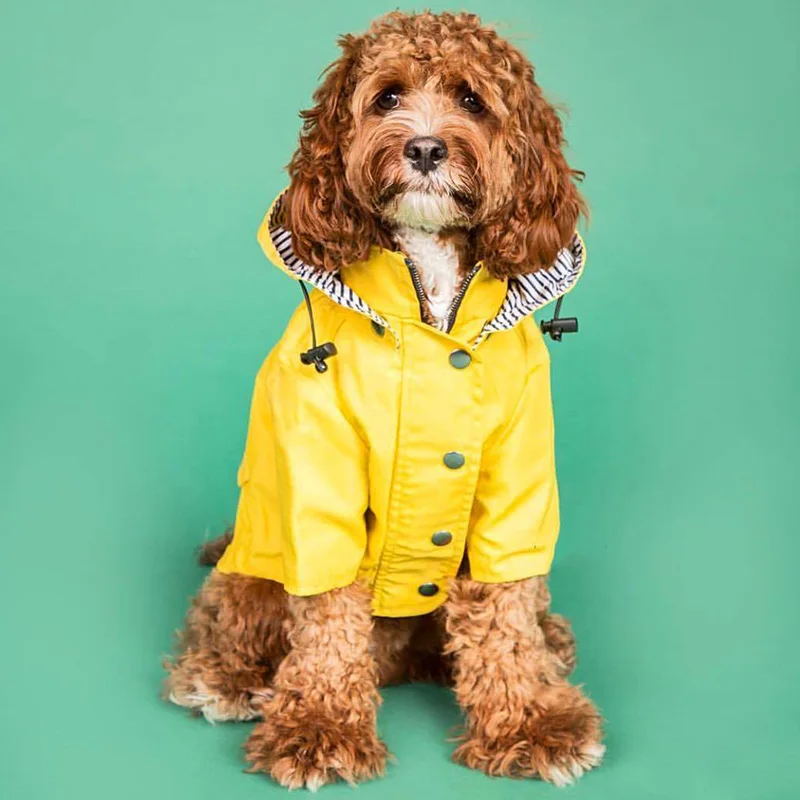 Abrigo impermeable XLeiPet para perros medianos y grandes - imagen 4