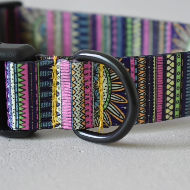 Collar ajustable de nailon para perros 15 colores con placa grabada - imagen 5