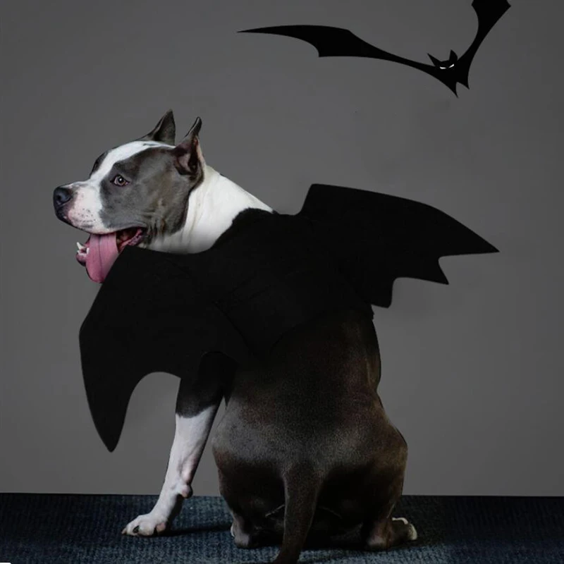 Disfraz de Halloween para perros, alas de murciélago para mascotas, disfraz de murciélago para perros y gatos, vestido con alas, accesorios para mascotas, disfraz de fiesta para mascotas, ala para cachorro - imagen 2