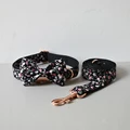 Bow Collar Leash Set