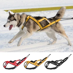 Arnés canicross para perros grandes – Trineo, Skijoring y Scooter