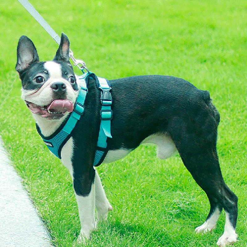 Arnés reflectante de verano para perros medianos para cachorros pequeños, arneses acolchados de malla para Chihuahua y Yorkies, suministros de accesorios para Mascotas - imagen 3