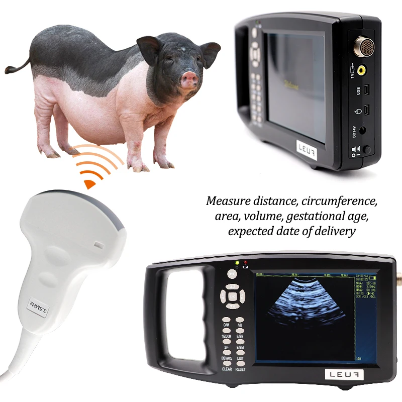 Escáner de ultrasonido veterinario portátil, máquina de prueba de embarazo con pantalla LCD de 5,6 pulgadas, para ganado, vaca, cerdo, oveja, caballo, granja - imagen 5