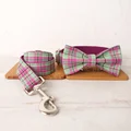 Bow Tie Collar Leash