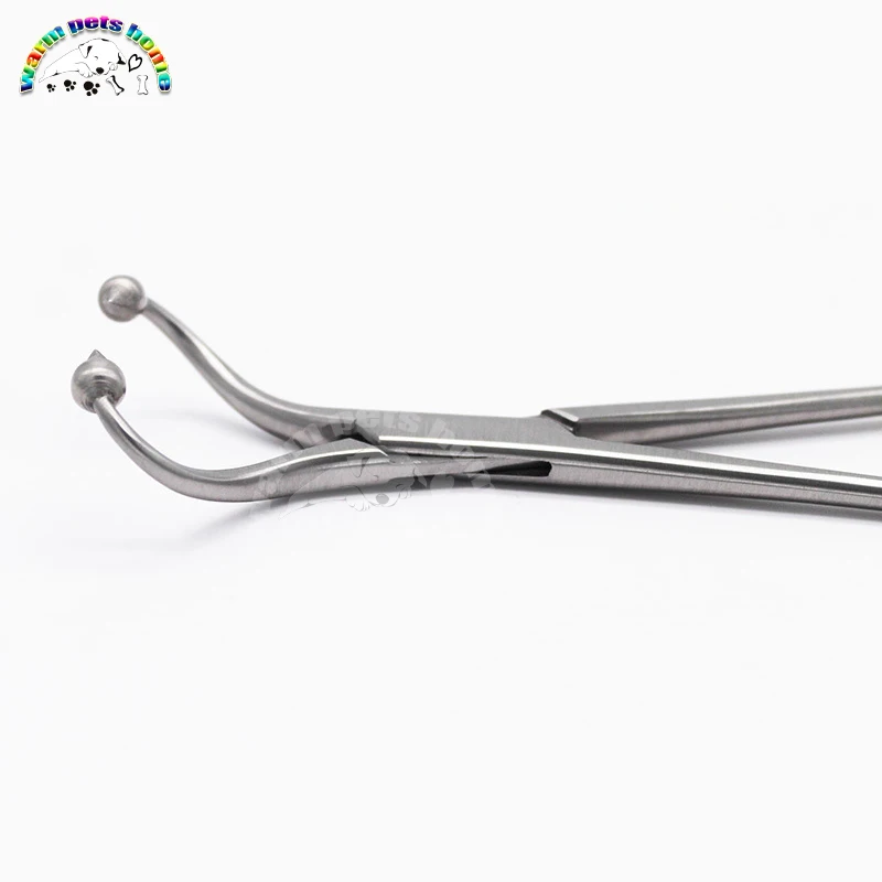Fórceps de sujeción de placa ósea, instrumento de cirugía ortopédica, instrumentos veterinarios - imagen 5