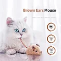 Brown Ears Mouse