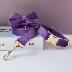 Collar nylon perro con grabado – Hebillas doradas ajustables