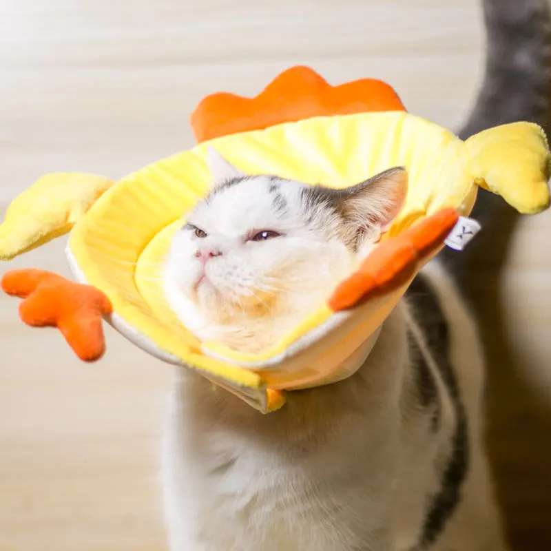 Collar eléctrico con forma de pollo para mascotas, cono suave y ajustable para la recuperación de heridas, cono inteligente para prevenir mordeduras, lindo, gato y perro - imagen 4