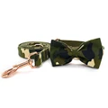 Bow Collar Leash Set