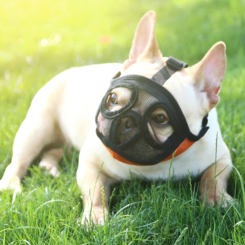 Bozal de malla transpirable para perros, para evitar morder máscara facial, Bulldog francés, Pug, productos de accesorios para Mascotas - imagen 3