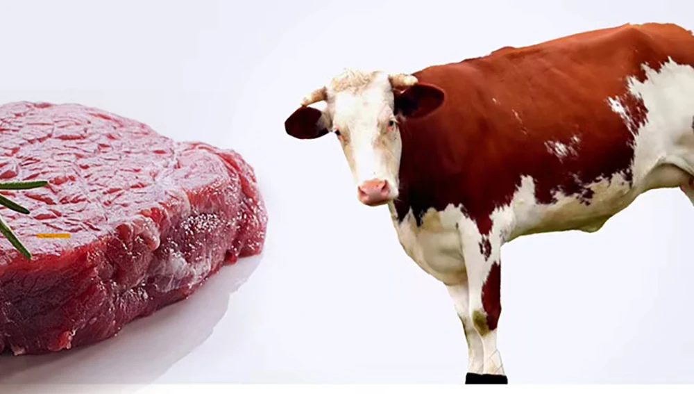 Primer plano del material de cuero de vaca natural del juguete