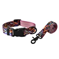 collar and leash set