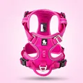 Fuchsia dog harness