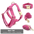 Harness Collar Set