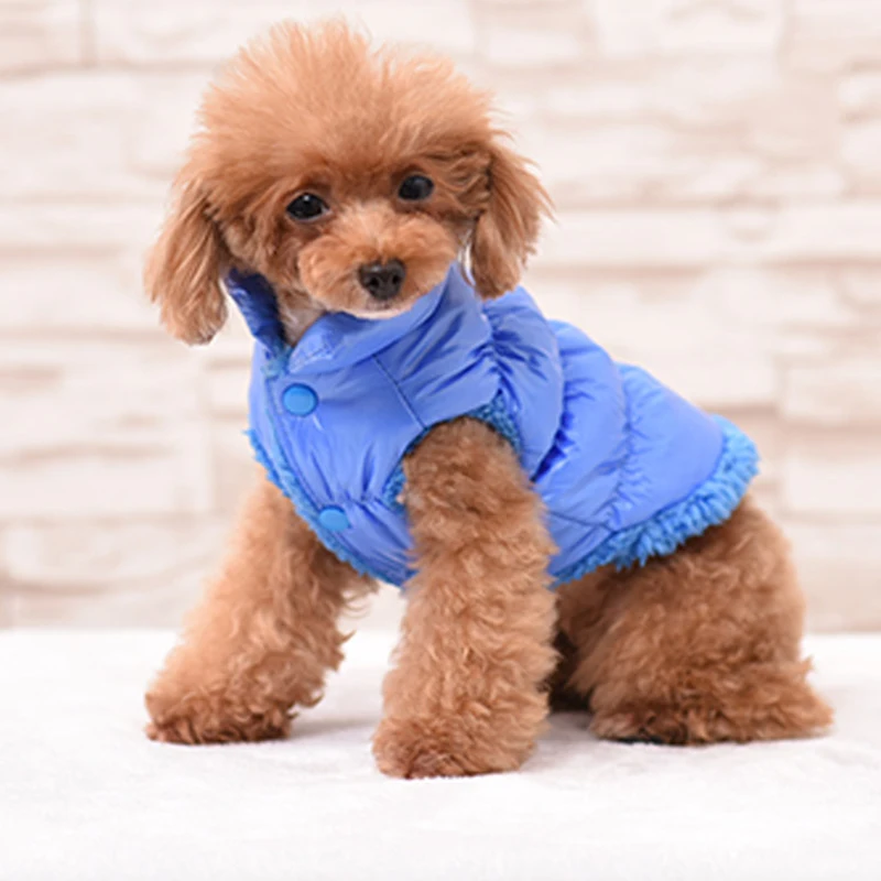 Chaqueta de plumón Classis para perros pequeños, ropa de invierno para perros y gatos, abrigo para Yorkshire Shih Tzu, ropa para cachorros ubranko dla psa - imagen 5