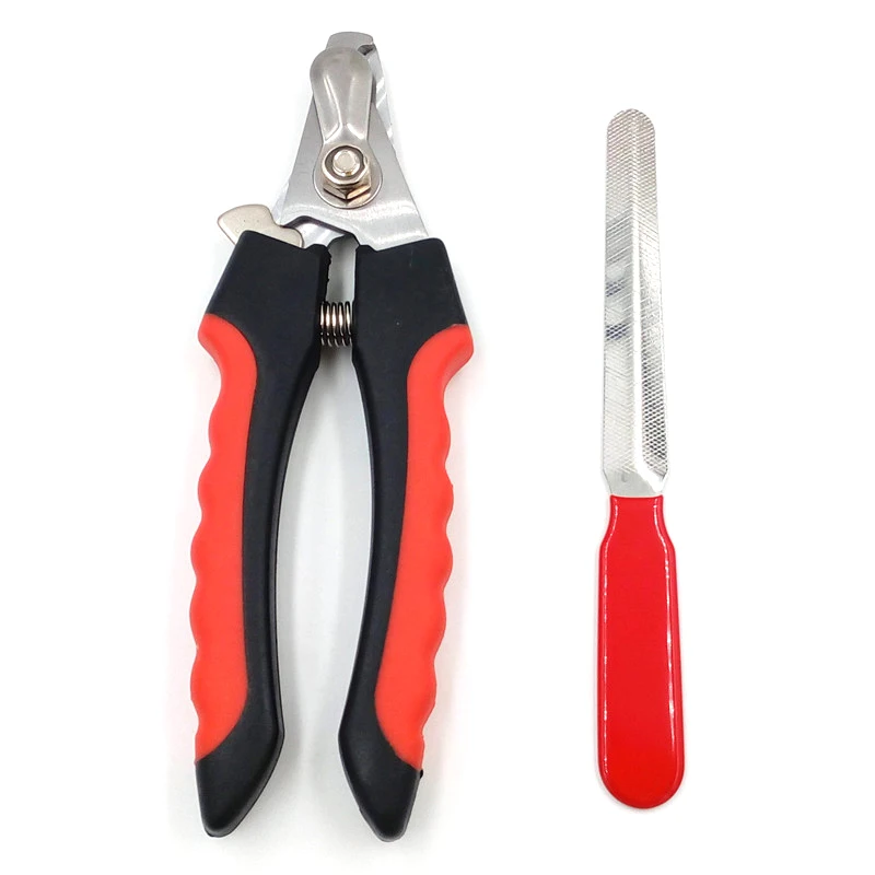 HTB1DertRVXXXXa5apXXq6xXFXXXG