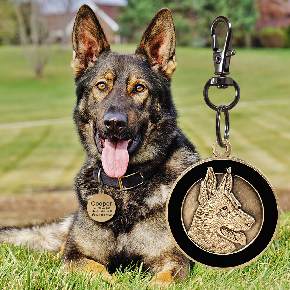 Etiqueta de identificación de perro grabada personalizada, etiquetas de Metal para mascotas, etiquetas de nombre de identificación personalizadas para cachorros y gatos, accesorios de Collar para perros, collares colgantes - imagen 4