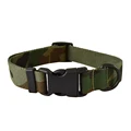 Dog collar