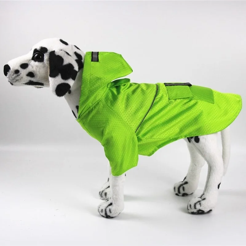 Un perro dálmata con un impermeable verde