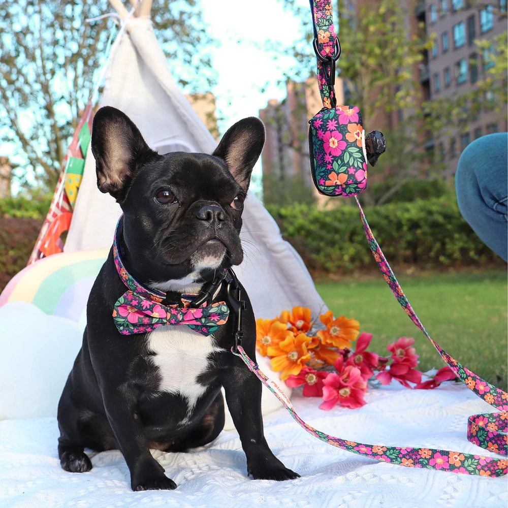 Correa de nailon para perro y gato, conjunto de bolsa para caca, correas para caminar con mascotas, pajarita, Collar, pequeños y medianos accesorios para perros, gatos y Chihuahua - imagen 5