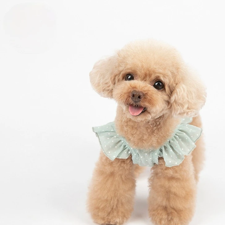 Vestido de ombligo de gasa para mascotas, ropa de peluche, chaleco de Panda, camisas para perros y niñas, ropa para cachorros, novedad - imagen 3