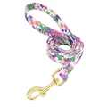 Purple leash