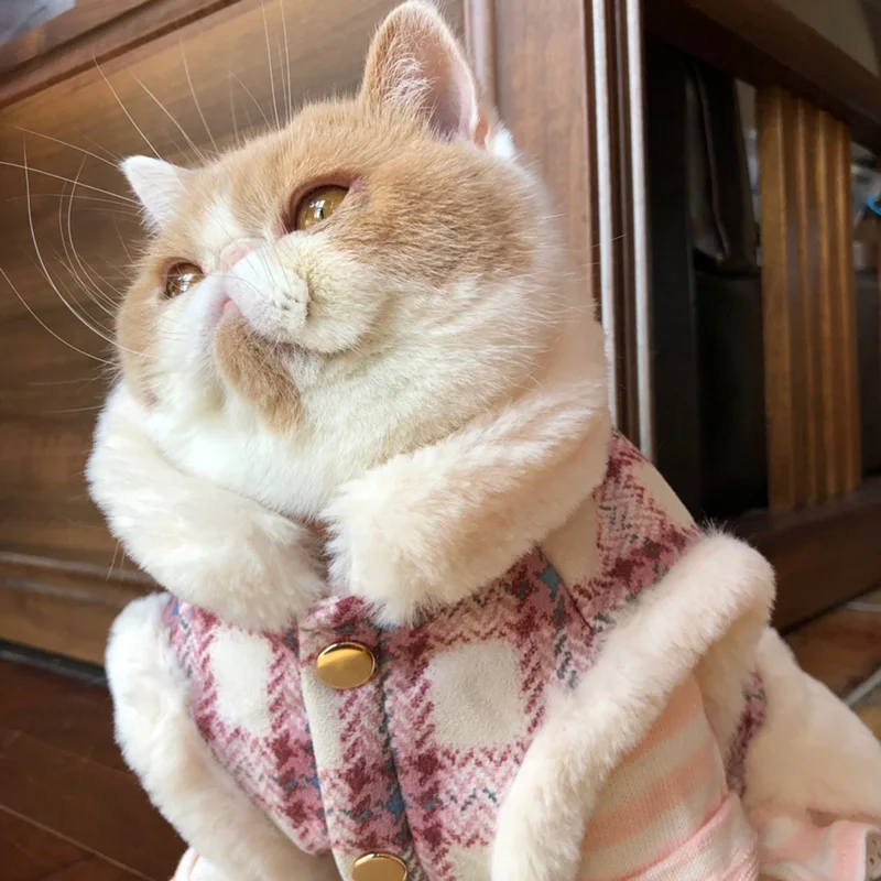 O1CN01RpJujp2Fj7UazDAB4_!!0-rate