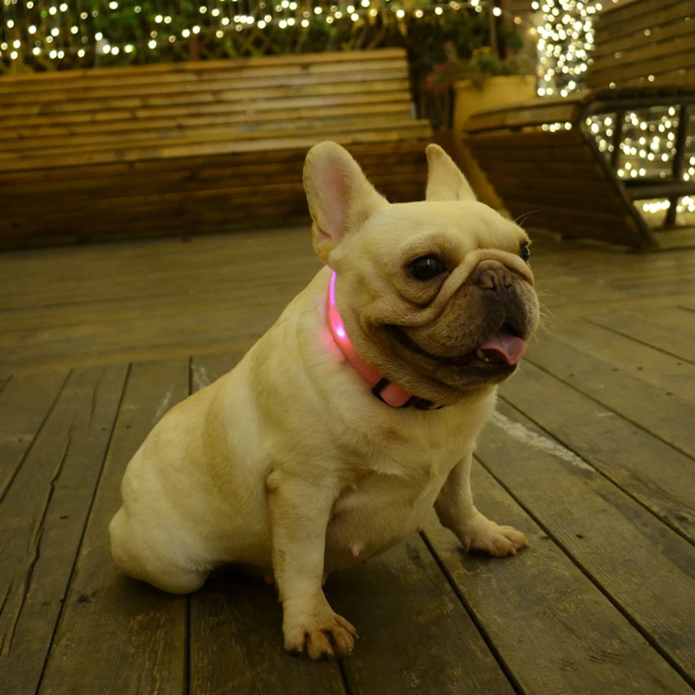 Collar de perro Led recargable por USB, Collar antipérdida/evita accidentes de coche para perros, cachorros, suministros LED, productos para mascotas - imagen 4